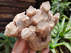 Natural Smokey Phantom Quartz Cluster x 1 From Luena, Congo - Toprock Gemstones and Minerals 
