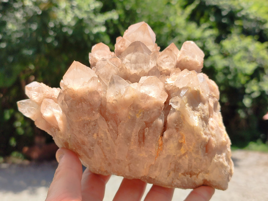 Natural Smokey Phantom Quartz Cluster x 1 From Luena, Congo - Toprock Gemstones and Minerals 