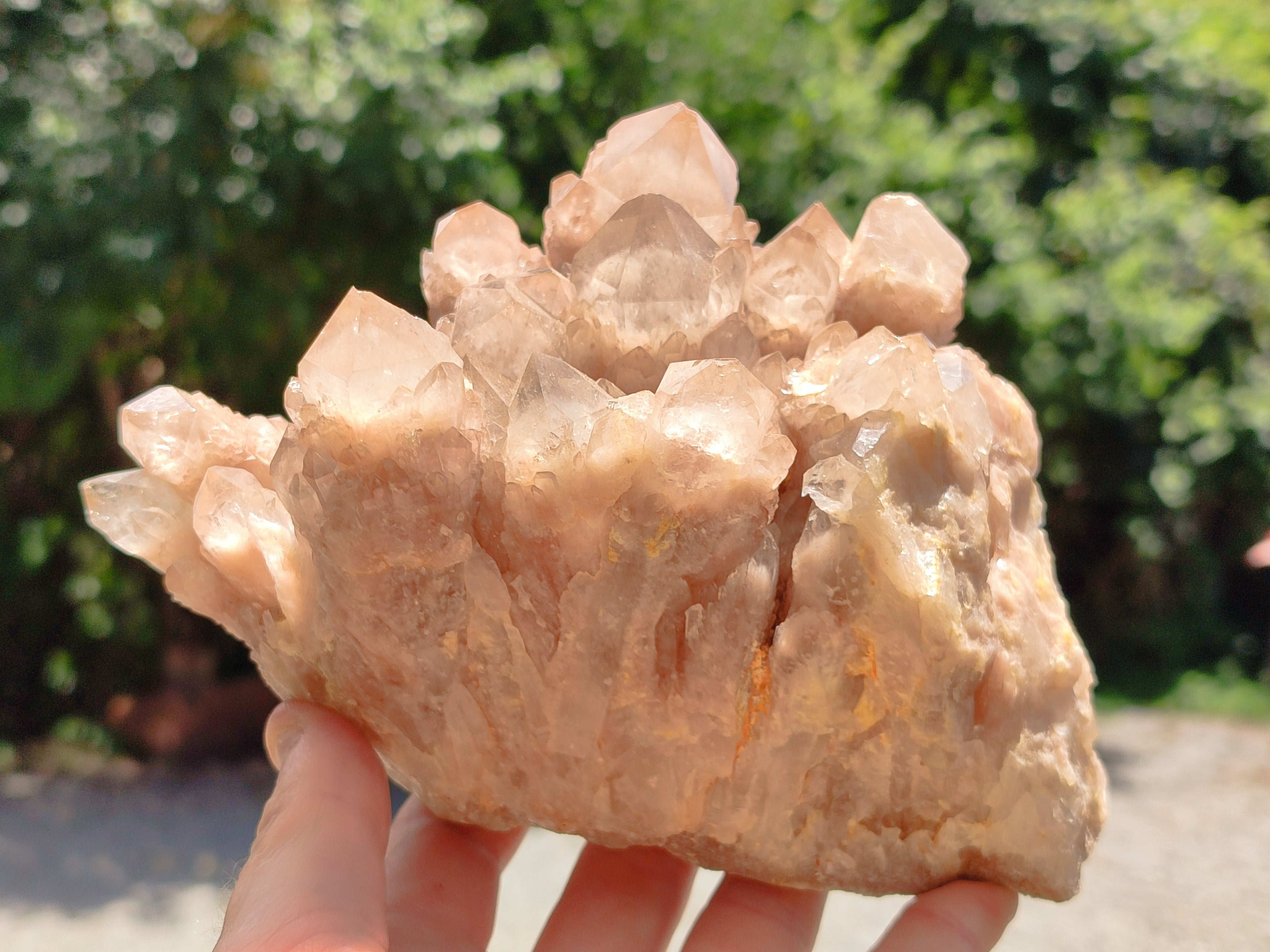 Natural Smokey Phantom Quartz Cluster x 1 From Luena, Congo - Toprock Gemstones and Minerals 