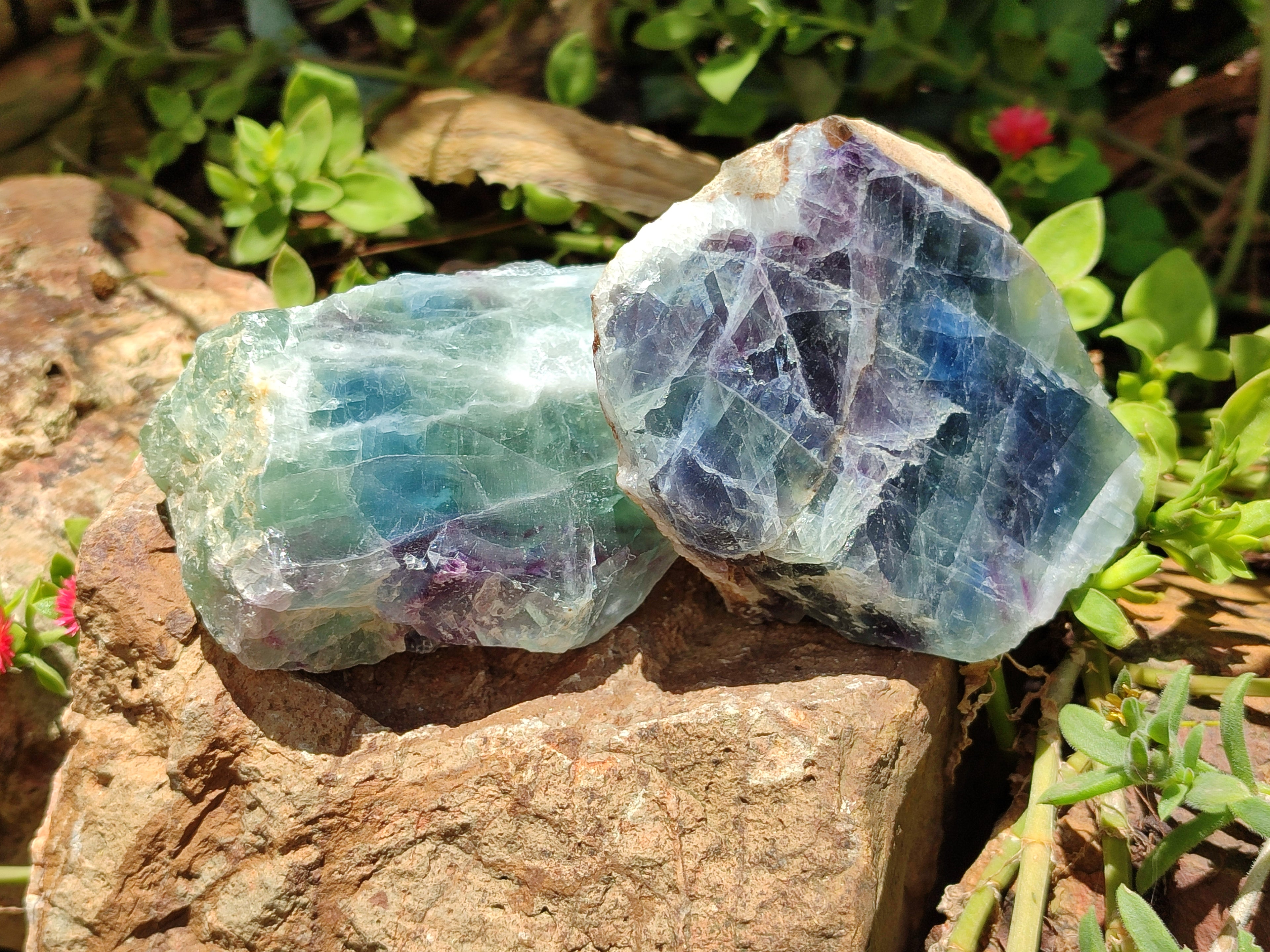 Polished On One Side Watermelon Fluorite x 6 From Uis, Namibia - Toprock Gemstones and Minerals 