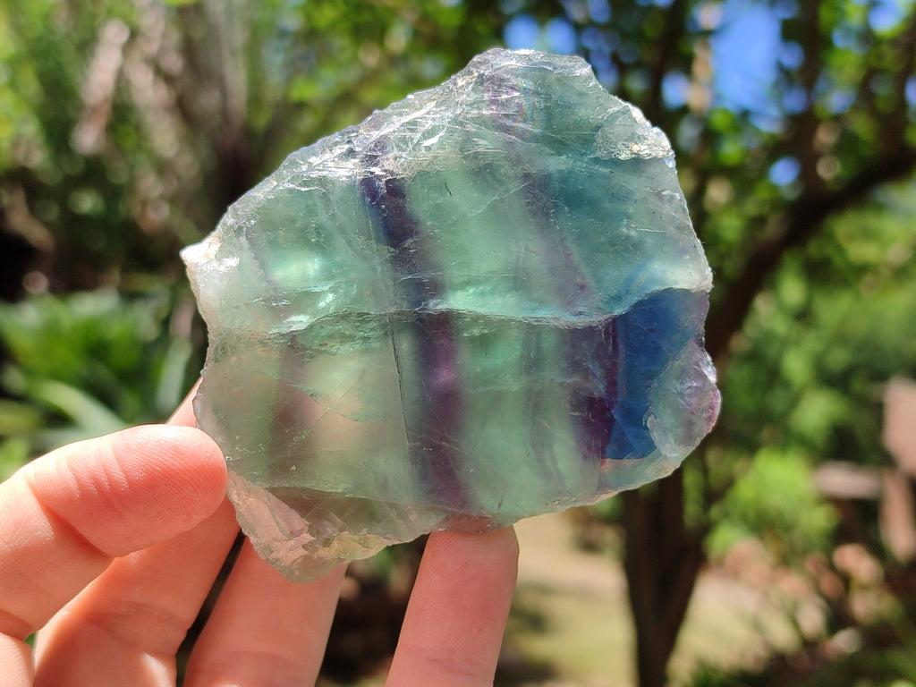 Polished On One Side Watermelon Fluorite x 6 From Uis, Namibia - Toprock Gemstones and Minerals 