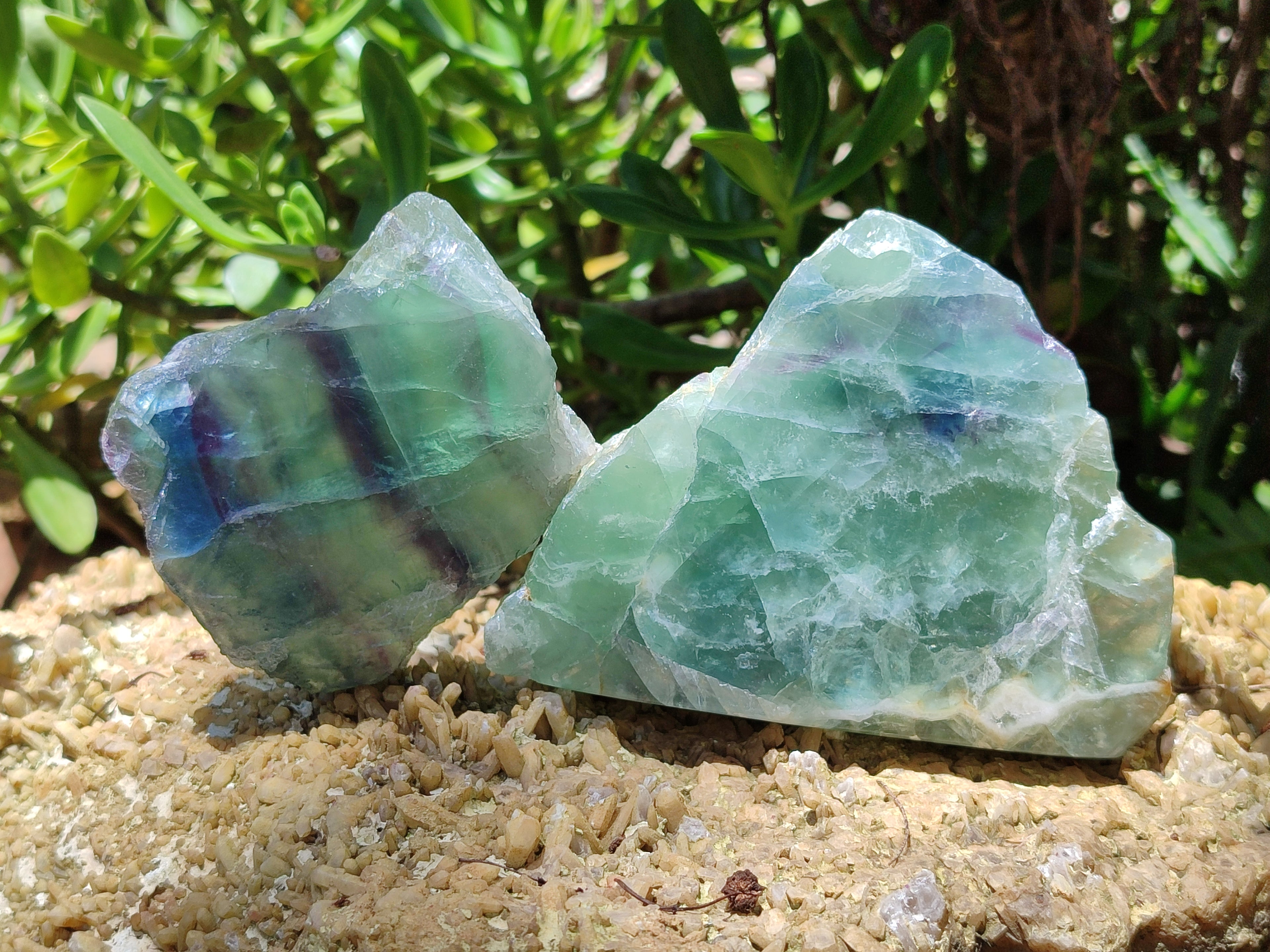 Polished On One Side Watermelon Fluorite x 6 From Uis, Namibia - Toprock Gemstones and Minerals 