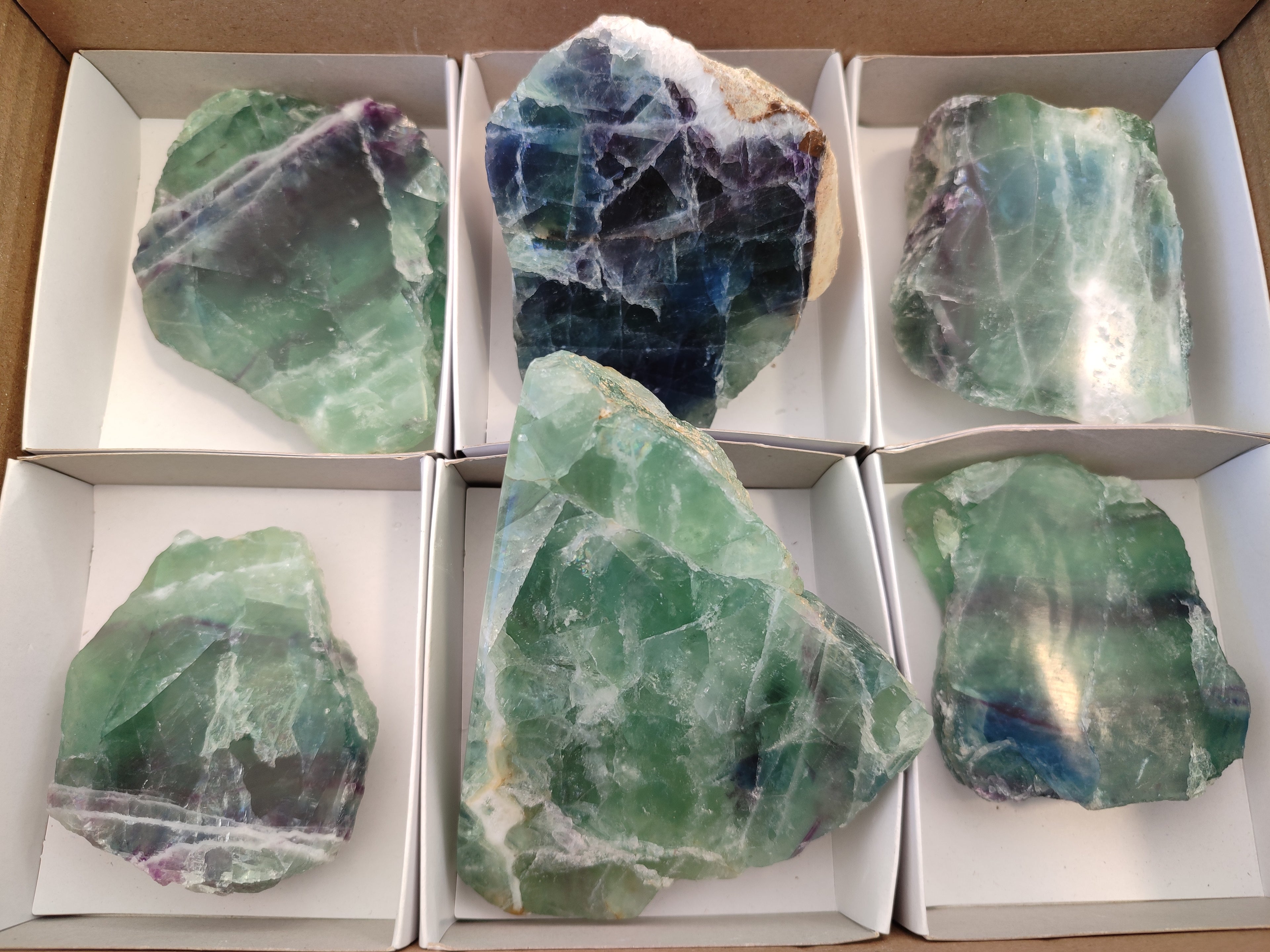 Polished On One Side Watermelon Fluorite x 6 From Uis, Namibia - Toprock Gemstones and Minerals 