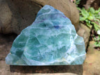 Polished On One Side Watermelon Fluorite x 6 From Uis, Namibia - Toprock Gemstones and Minerals 