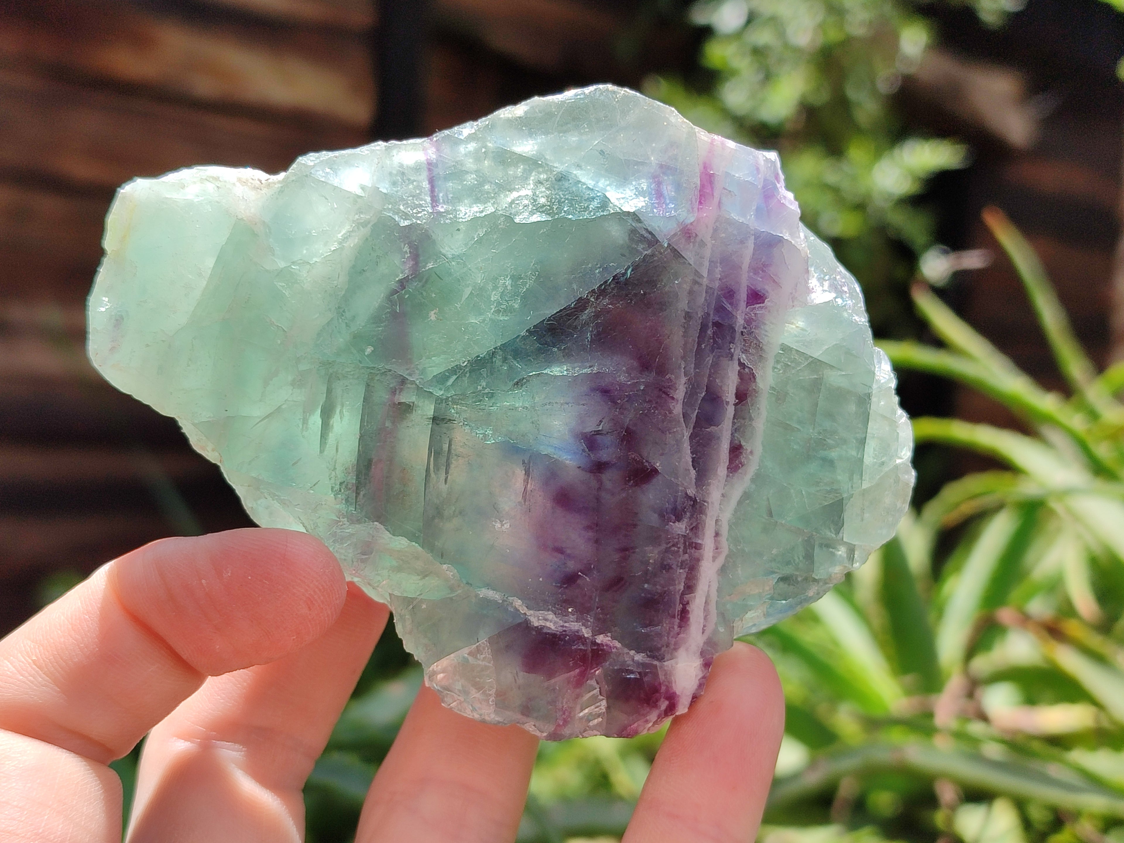 Polished On One Side Watermelon Fluorite x 6 From Uis, Namibia - Toprock Gemstones and Minerals 