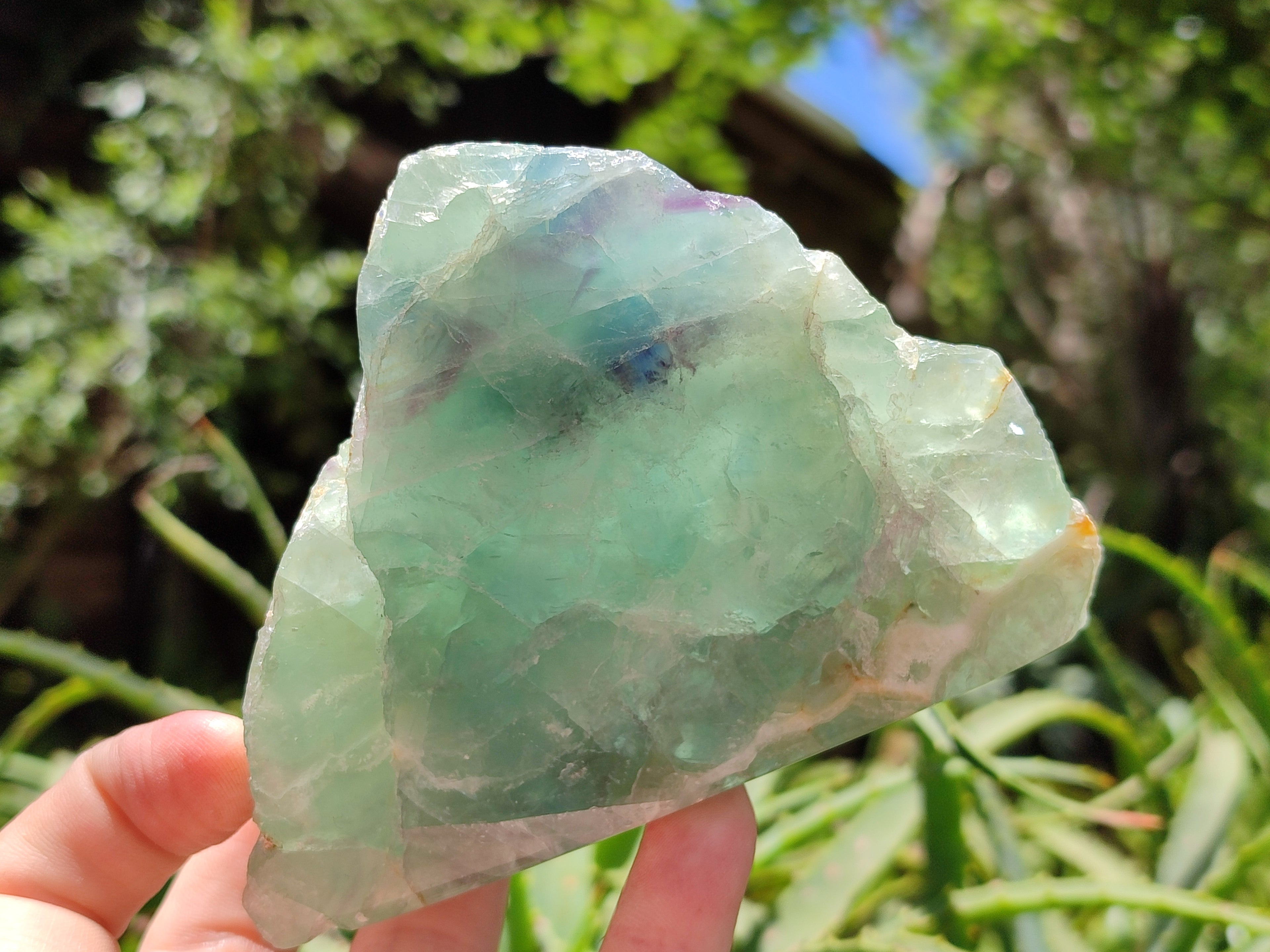 Polished On One Side Watermelon Fluorite x 6 From Uis, Namibia - Toprock Gemstones and Minerals 