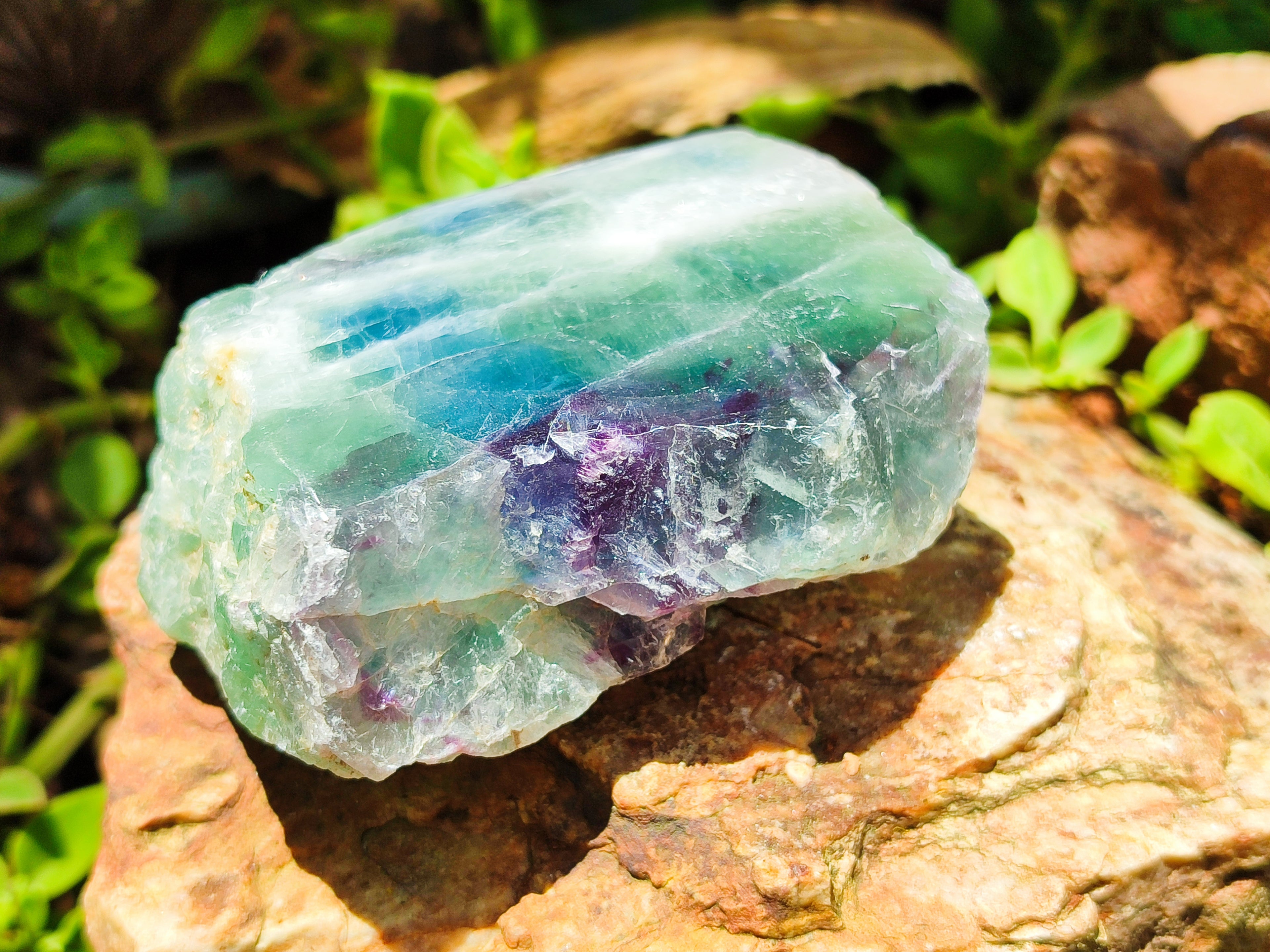 Polished On One Side Watermelon Fluorite x 6 From Uis, Namibia - Toprock Gemstones and Minerals 