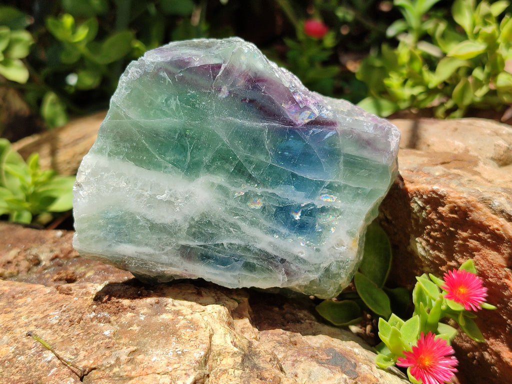 Polished On One Side Watermelon Fluorite x 6 From Uis, Namibia - Toprock Gemstones and Minerals 