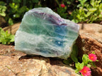 Polished On One Side Watermelon Fluorite x 6 From Uis, Namibia - Toprock Gemstones and Minerals 