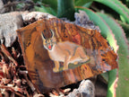 Hand Made Caracal Decoupage Stone Slabs x 8 From Southern Africa - Toprock Gemstones and Minerals 