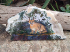 Hand Made Caracal Decoupage Stone Slabs x 8 From Southern Africa - Toprock Gemstones and Minerals 
