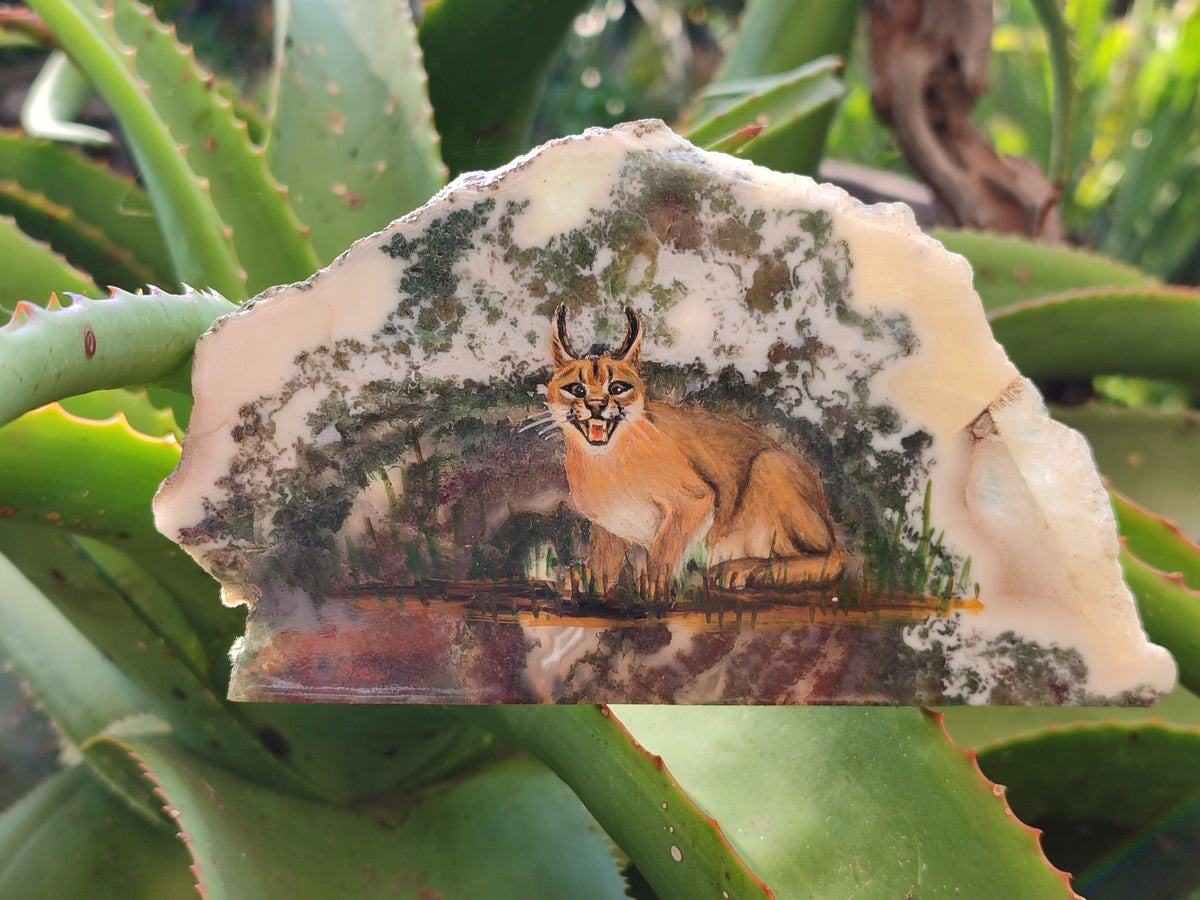 Hand Made Caracal Decoupage Stone Slabs x 8 From Southern Africa - Toprock Gemstones and Minerals 