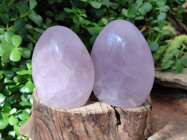 Polished Rose Quartz Standing Free Forms x 2 From Madagascar - Toprock Gemstones and Minerals 
