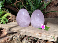 Polished Rose Quartz Standing Free Forms x 2 From Madagascar - Toprock Gemstones and Minerals 