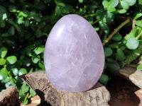 Polished Rose Quartz Standing Free Forms x 2 From Madagascar - Toprock Gemstones and Minerals 