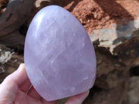 Polished Rose Quartz Standing Free Forms x 2 From Madagascar - Toprock Gemstones and Minerals 