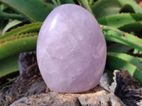 Polished Rose Quartz Standing Free Forms x 2 From Madagascar - Toprock Gemstones and Minerals 