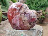Polished Podocarpus Petrified Wood Hearts x 2 From Mahajanga, Madagascar