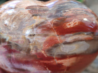 Polished Podocarpus Petrified Wood Hearts x 2 From Mahajanga, Madagascar