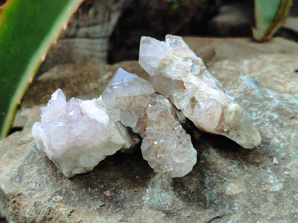 Natural Spirit Quartz Crystals x 35 From Boekenhouthoek, South Africa - Toprock Gemstones and Minerals 
