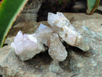 Natural Spirit Quartz Crystals x 35 From Boekenhouthoek, South Africa - Toprock Gemstones and Minerals 