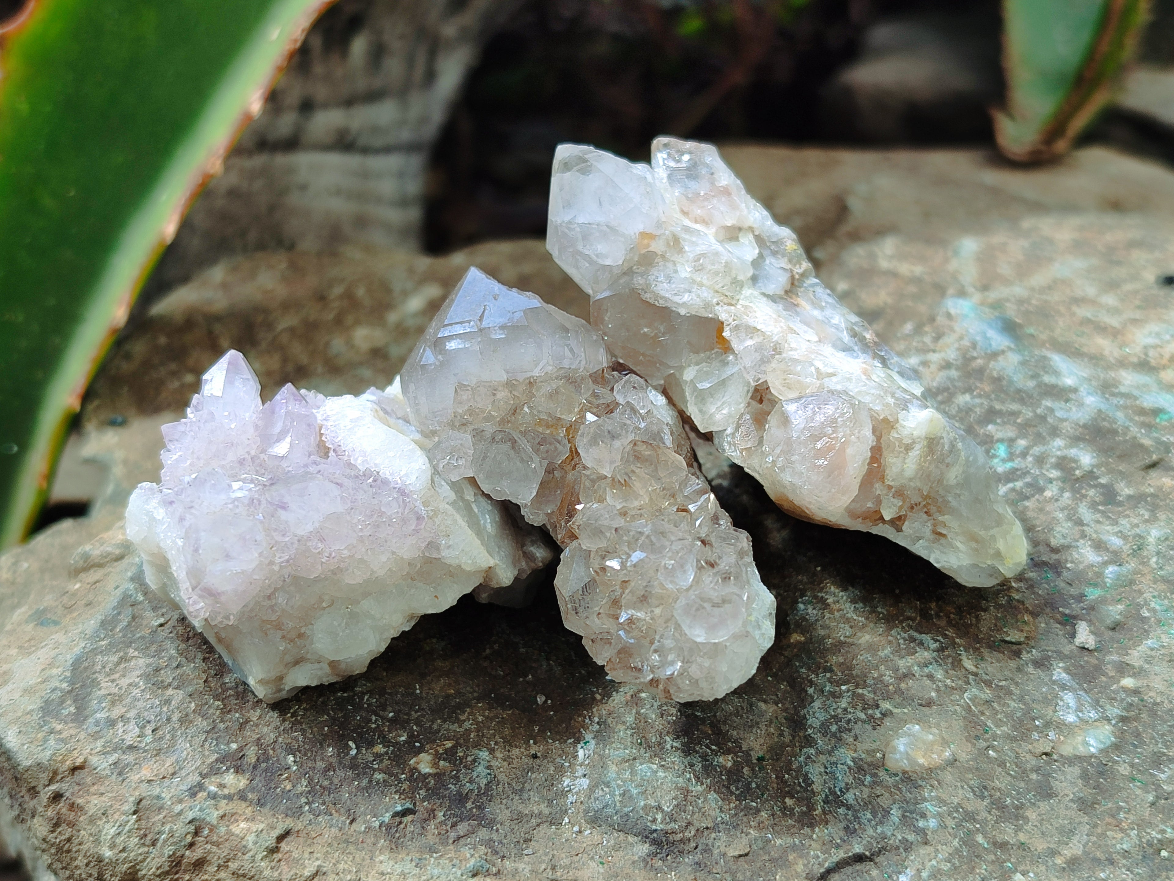 Natural Spirit Quartz Crystals x 35 From Boekenhouthoek, South Africa - Toprock Gemstones and Minerals 
