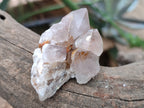 Natural Spirit Quartz Crystals x 35 From Boekenhouthoek, South Africa - Toprock Gemstones and Minerals 