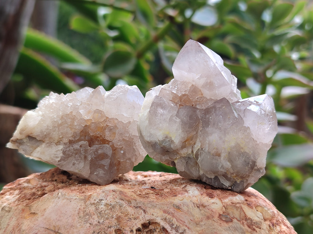 Natural Spirit Quartz Crystals x 35 From Boekenhouthoek, South Africa - Toprock Gemstones and Minerals 