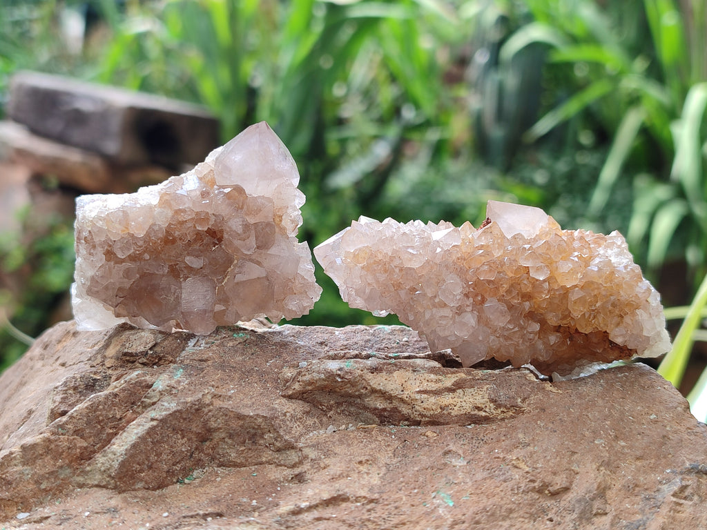 Natural Spirit Quartz Crystals x 35 From Boekenhouthoek, South Africa - Toprock Gemstones and Minerals 