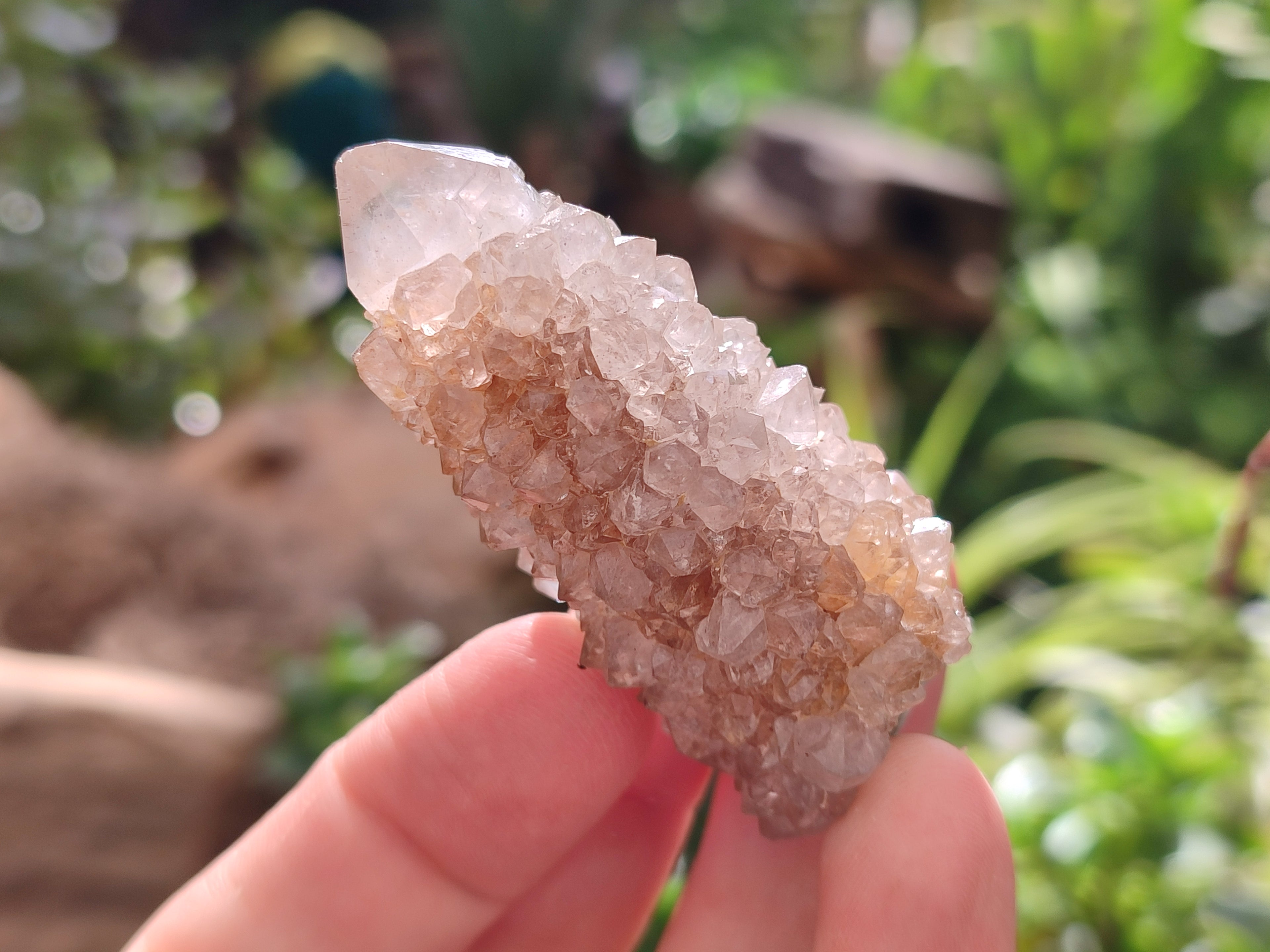 Natural Spirit Quartz Crystals x 35 From Boekenhouthoek, South Africa - Toprock Gemstones and Minerals 