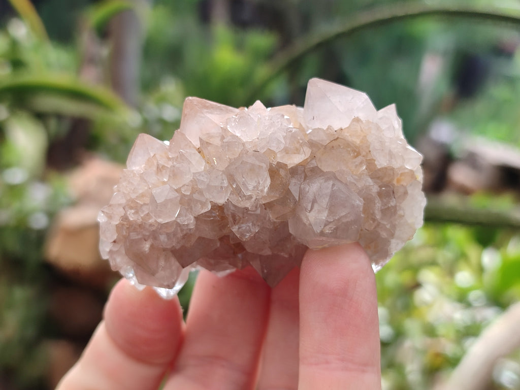 Natural Spirit Quartz Crystals x 35 From Boekenhouthoek, South Africa - Toprock Gemstones and Minerals 