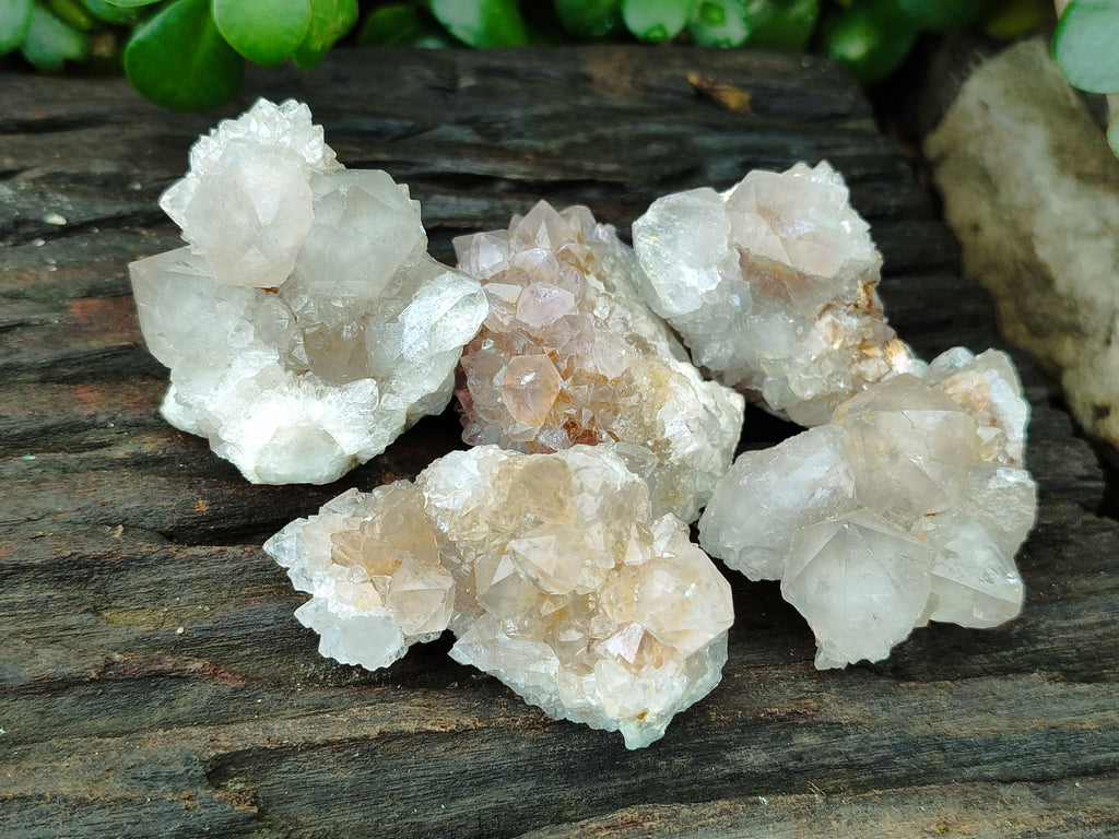 Natural Spirit Quartz Crystals x 35 From Boekenhouthoek, South Africa - Toprock Gemstones and Minerals 