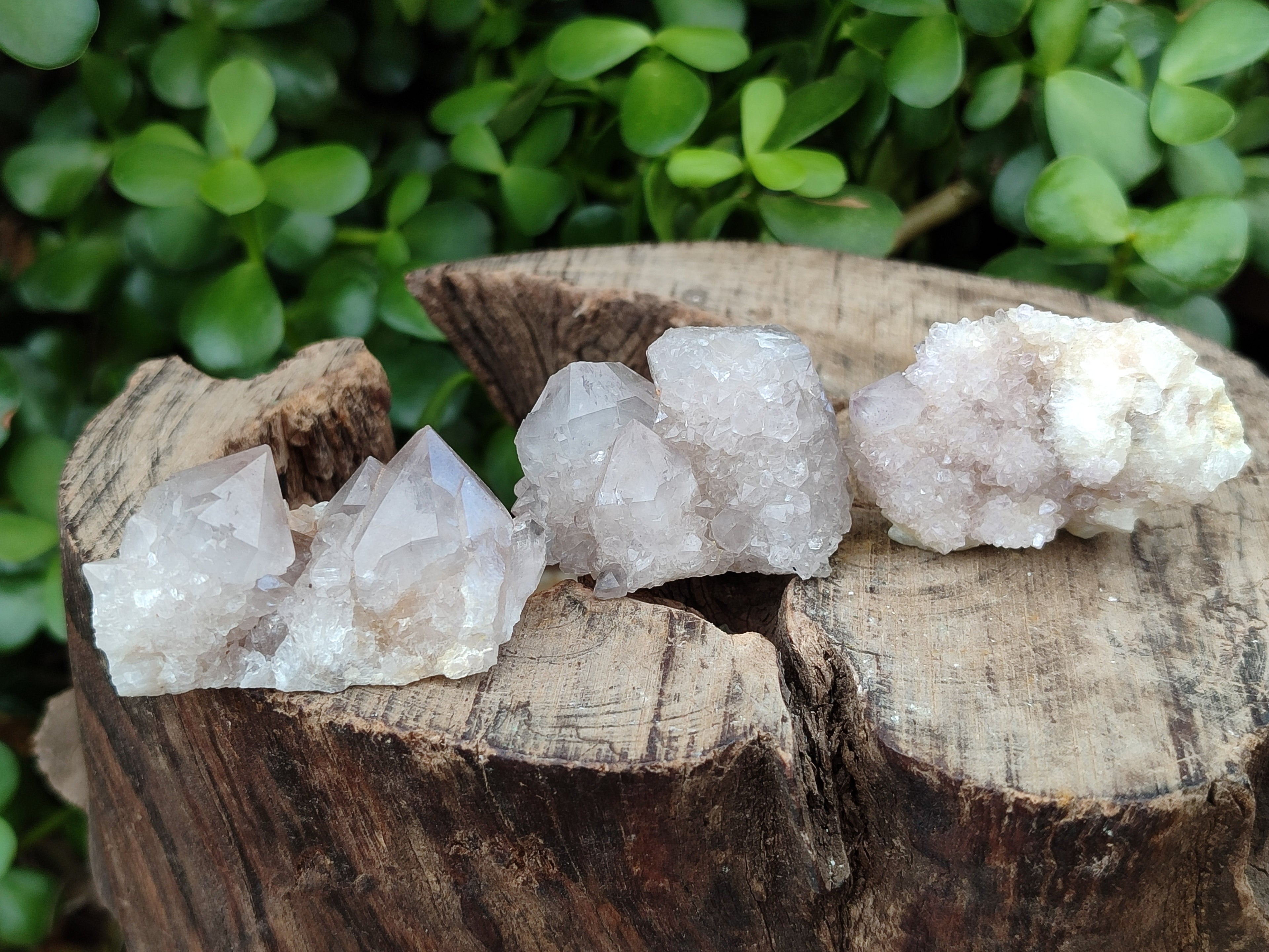 Natural Spirit Quartz Crystals x 35 From Boekenhouthoek, South Africa - Toprock Gemstones and Minerals 