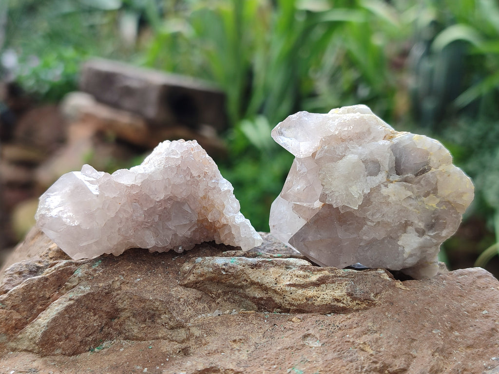 Natural Spirit Quartz Crystals x 35 From Boekenhouthoek, South Africa - Toprock Gemstones and Minerals 