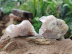 Natural Spirit Quartz Crystals x 35 From Boekenhouthoek, South Africa - Toprock Gemstones and Minerals 