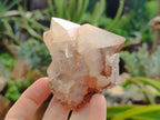 Natural Hematoid Quartz Crystals x 12 From Madagascar - Toprock Gemstones and Minerals 
