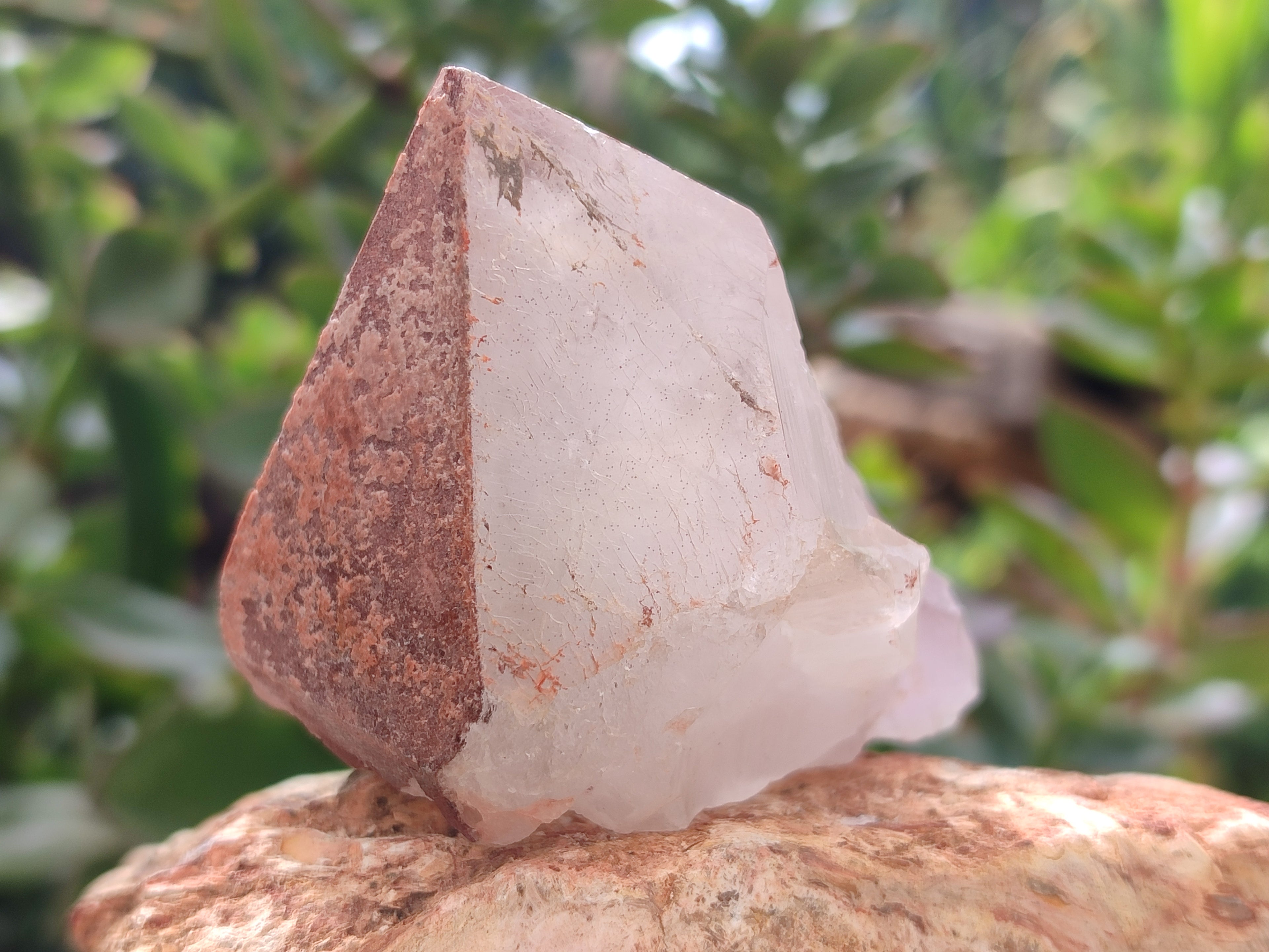 Natural Hematoid Quartz Crystals x 12 From Madagascar - Toprock Gemstones and Minerals 