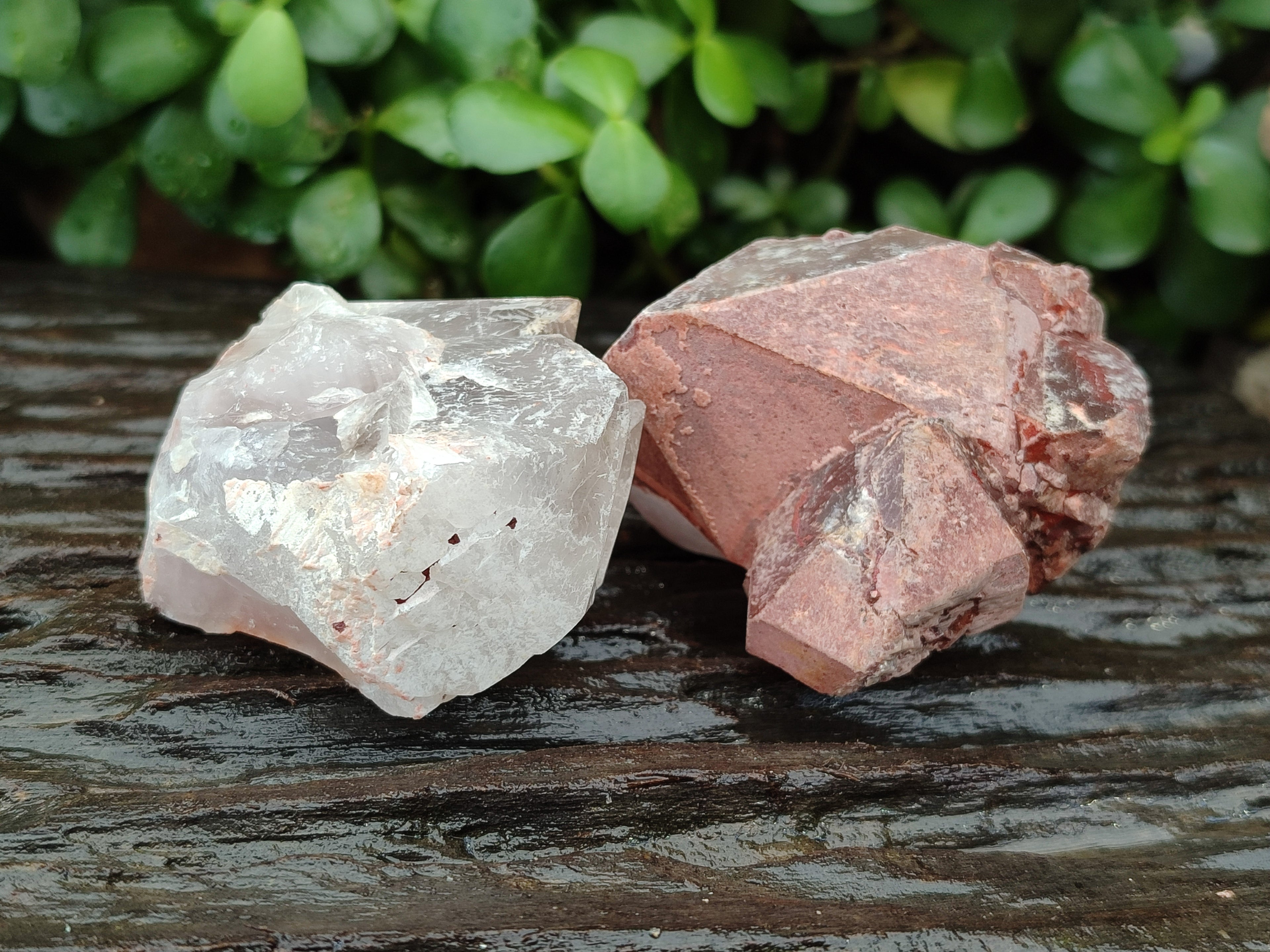 Natural Hematoid Quartz Crystals x 12 From Madagascar - Toprock Gemstones and Minerals 