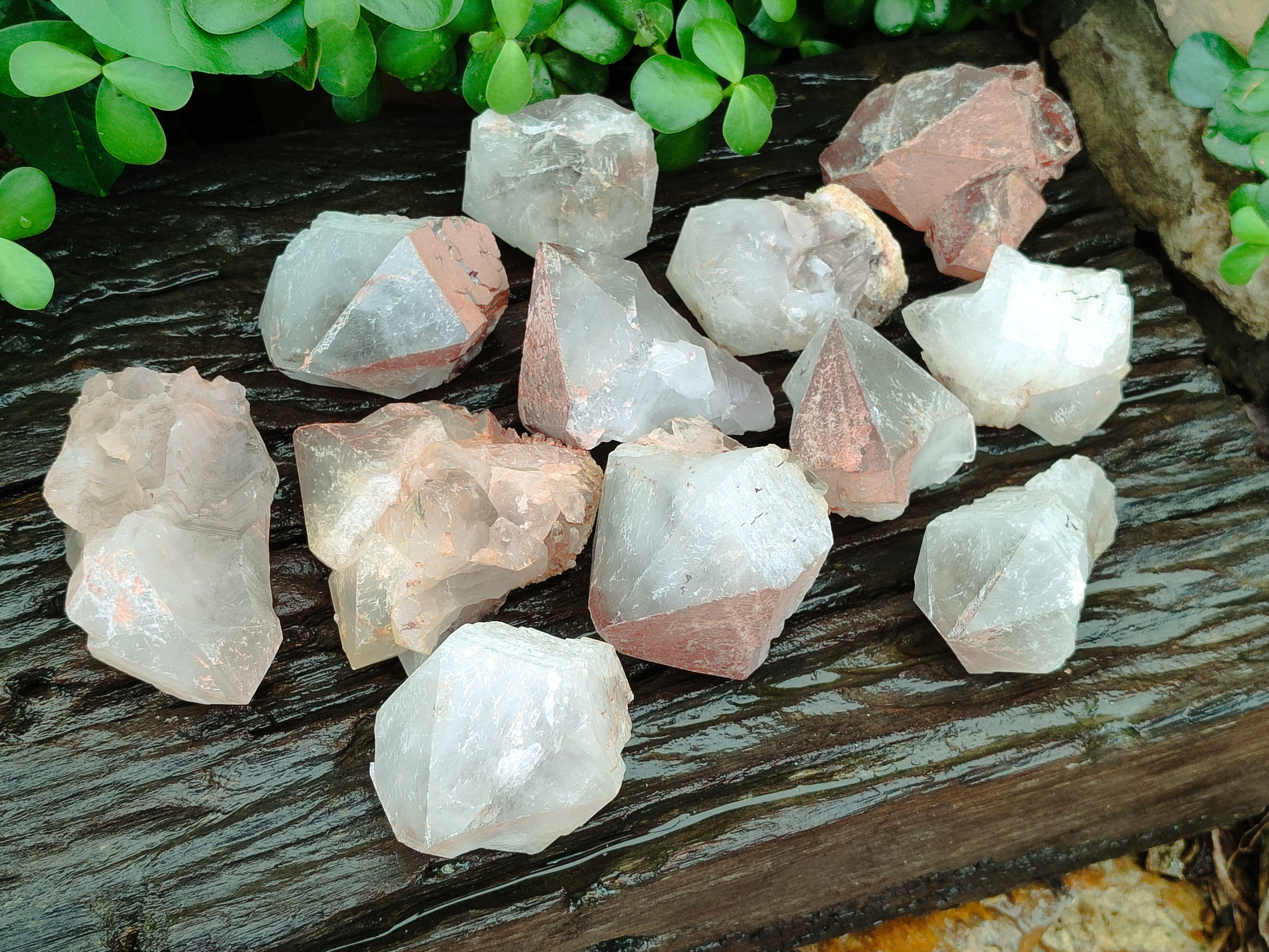 Natural Hematoid Quartz Crystals x 12 From Madagascar - Toprock Gemstones and Minerals 