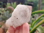 Natural Hematoid Quartz Crystals x 12 From Madagascar - Toprock Gemstones and Minerals 