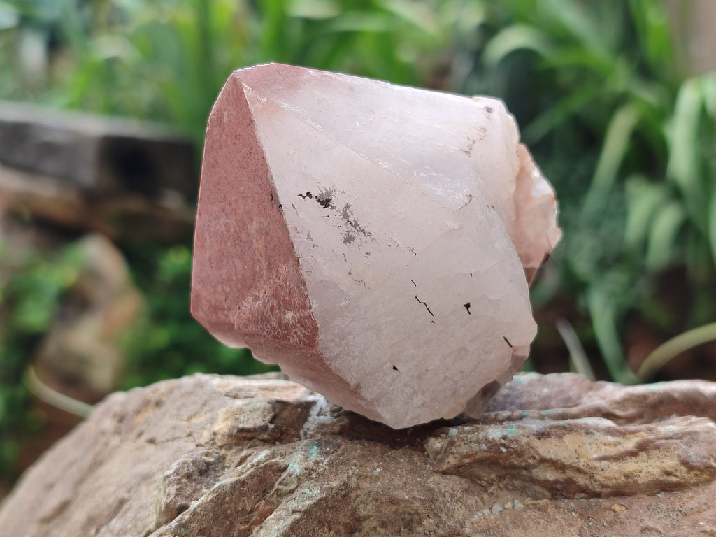 Natural Hematoid Quartz Crystals x 12 From Madagascar - Toprock Gemstones and Minerals 