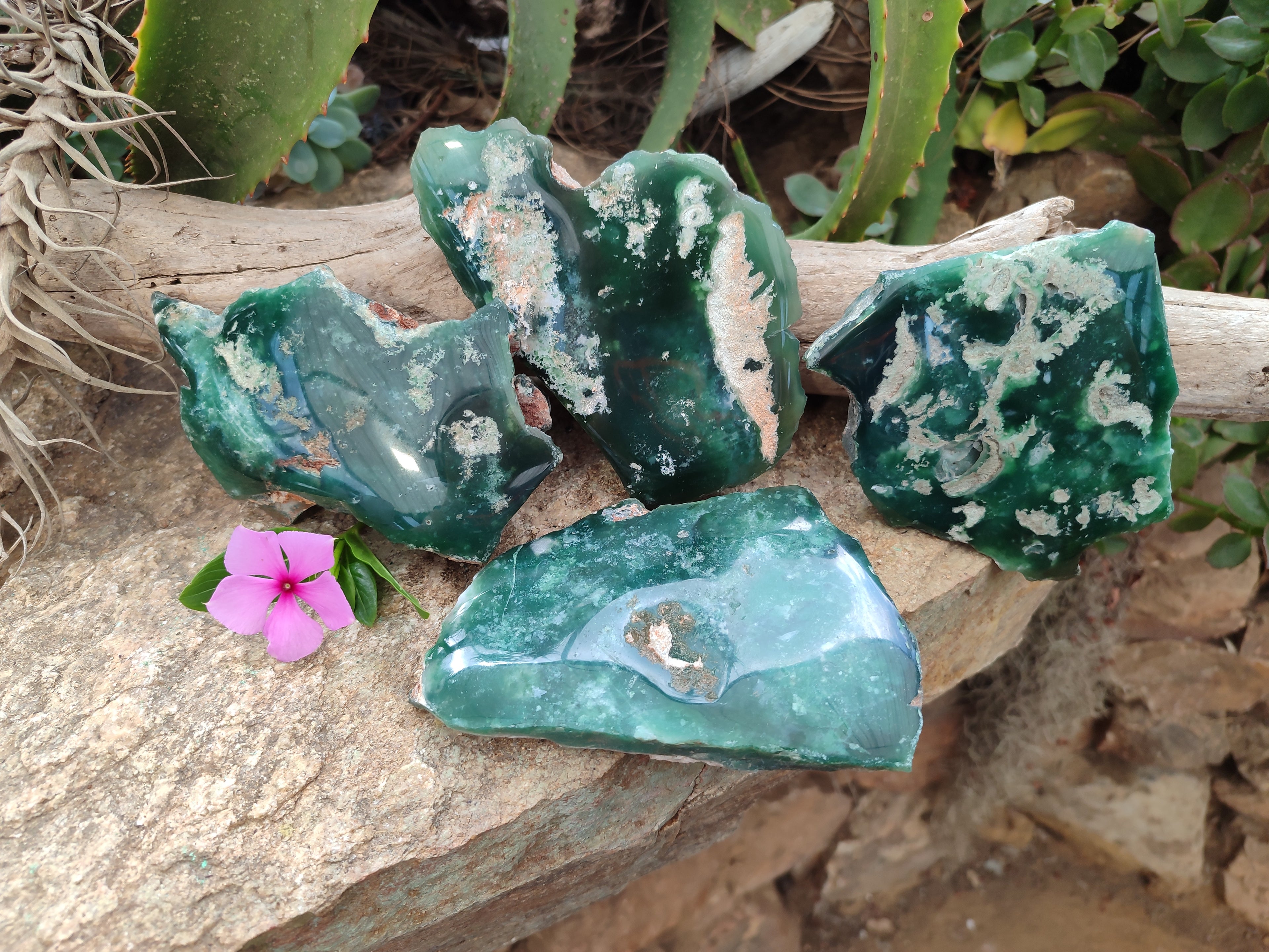 Polished On One Side Emerald Mtorolite Plates x 4 From Mutorashanga, Zimbabwe - Toprock Gemstones and Minerals 