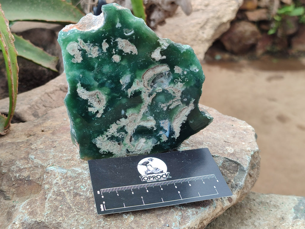 Polished On One Side Emerald Mtorolite Plates x 4 From Mutorashanga, Zimbabwe - Toprock Gemstones and Minerals 