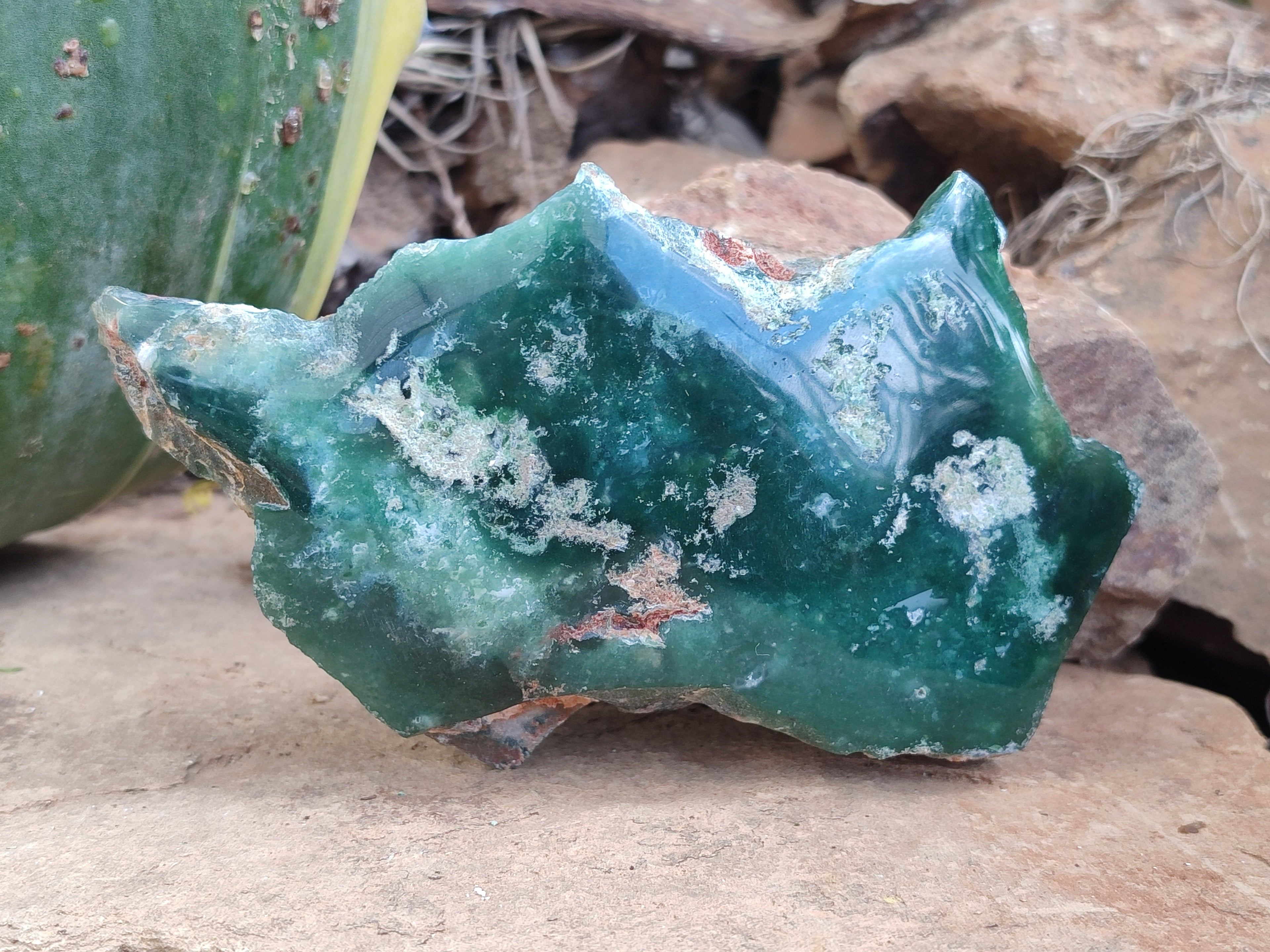 Polished On One Side Emerald Mtorolite Plates x 4 From Mutorashanga, Zimbabwe - Toprock Gemstones and Minerals 