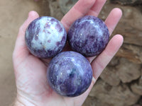 Polished Lepidolite with Pink Rubellite Spheres x 6 From Ambatondrazaka, Madagascar - Toprock Gemstones and Minerals 