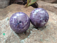 Polished Lepidolite with Pink Rubellite Spheres x 6 From Ambatondrazaka, Madagascar - Toprock Gemstones and Minerals 
