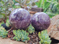 Polished Lepidolite with Pink Rubellite Spheres x 6 From Ambatondrazaka, Madagascar - Toprock Gemstones and Minerals 