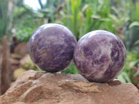 Polished Lepidolite with Pink Rubellite Spheres x 6 From Ambatondrazaka, Madagascar - Toprock Gemstones and Minerals 