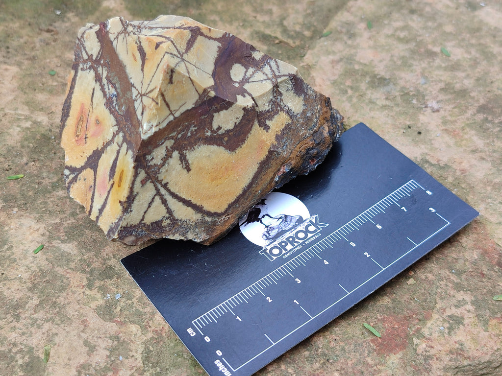 Natural Nguni Jasper Cobbed Specimens x 12 From Prieska, South Africa - Toprock Gemstones and Minerals 