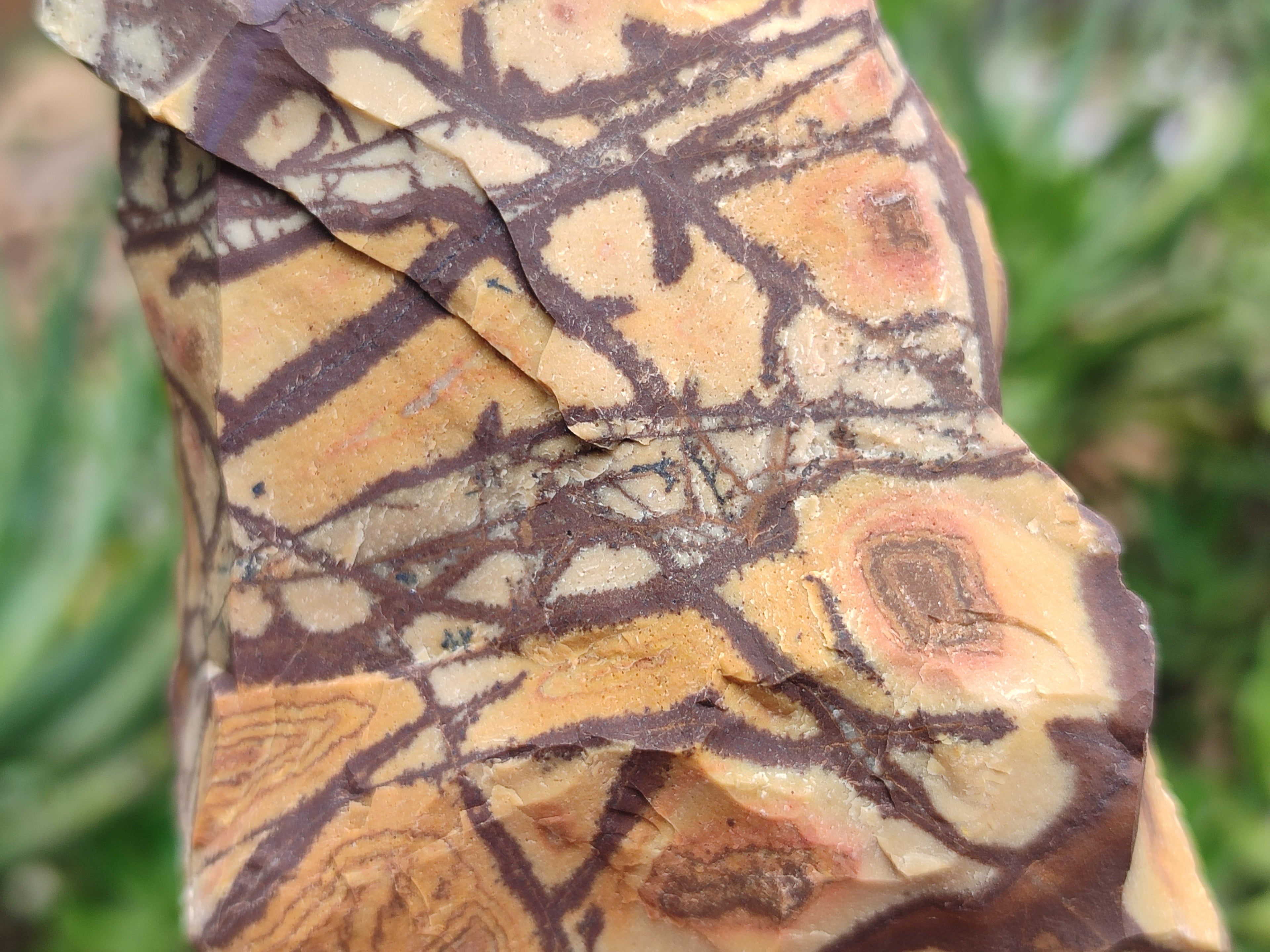 Natural Nguni Jasper Cobbed Specimens x 12 From Prieska, South Africa - Toprock Gemstones and Minerals 